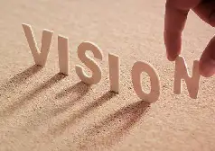 Vision